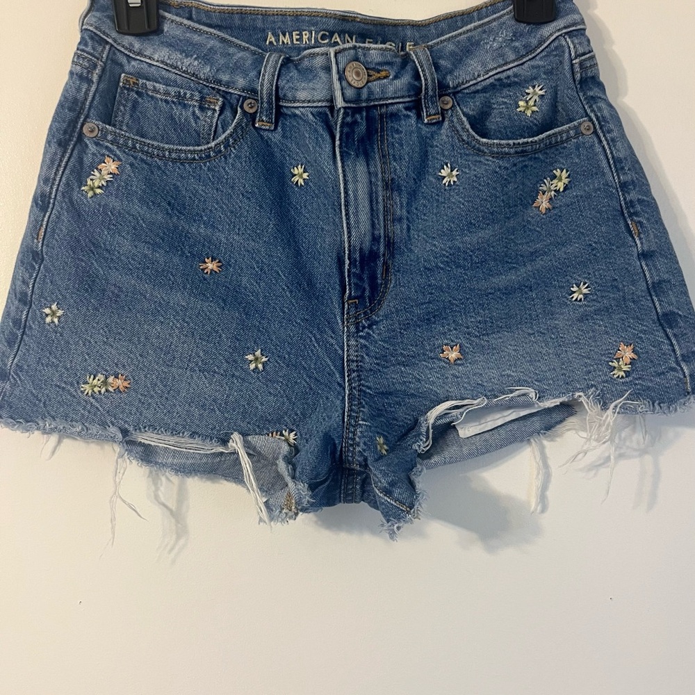American Eagle Outfitters Blue Denim Shorts with Floral Embroidery